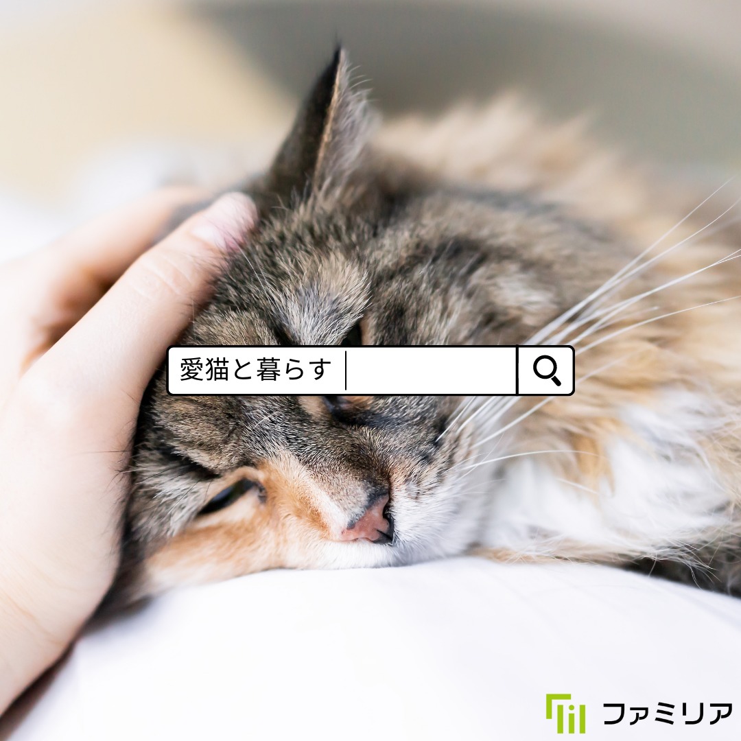 愛猫と暮らすpage-visual 愛猫と暮らすビジュアル